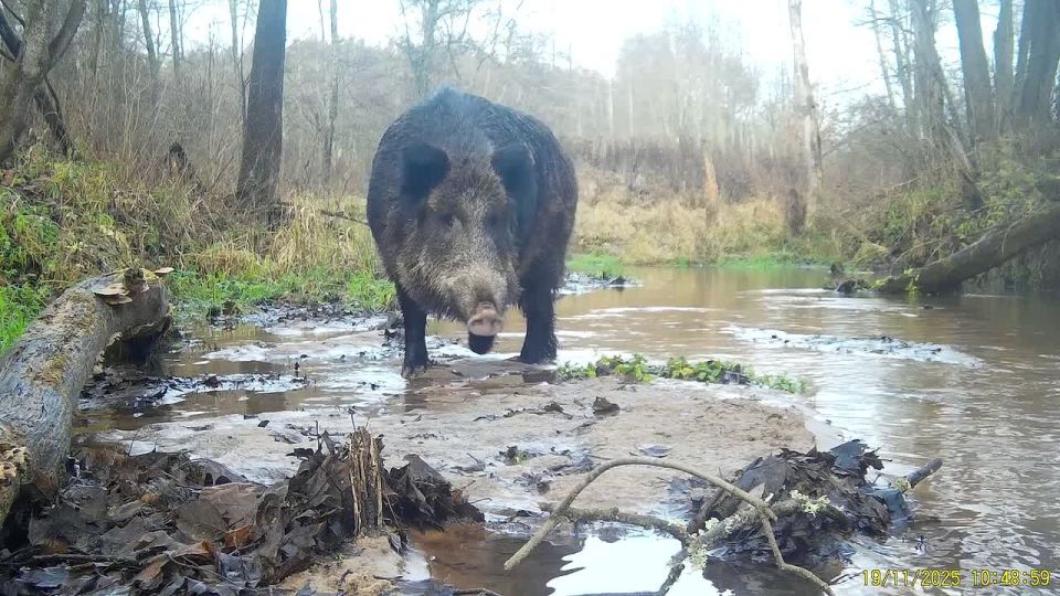 ����������� � ����������� ���������� ������ ��������� ������ ������