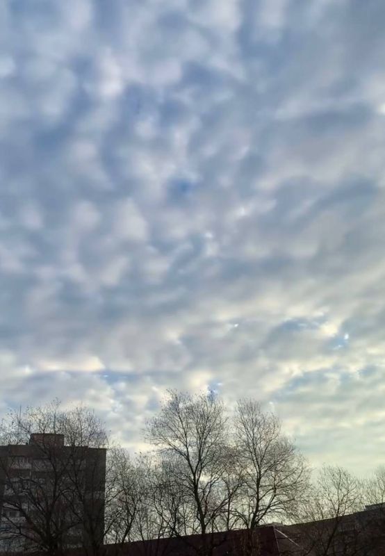 ���� �������� � �������� �����������