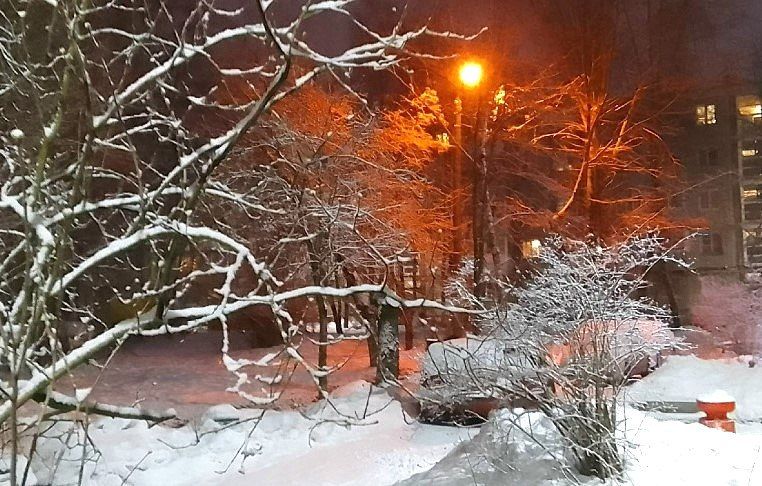 ����� ������� ��������� ������� � ��������� ���������� ���������