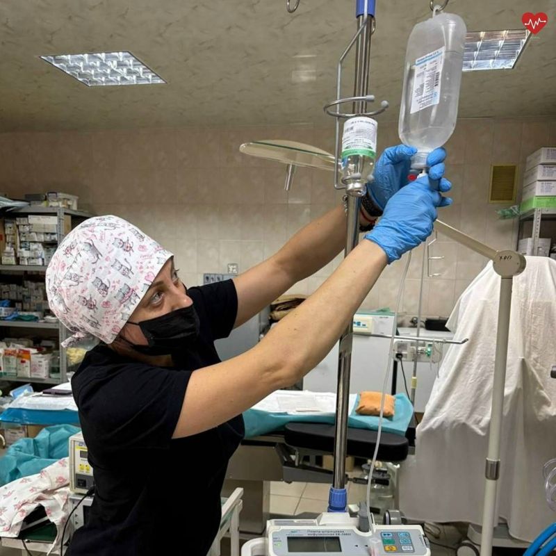 ��������� ������ ��������� �� ������������ � ��������� �������� ����������