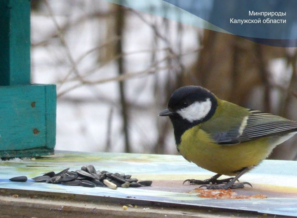 � ��������� ������� �������� ���������� �� ������� �������