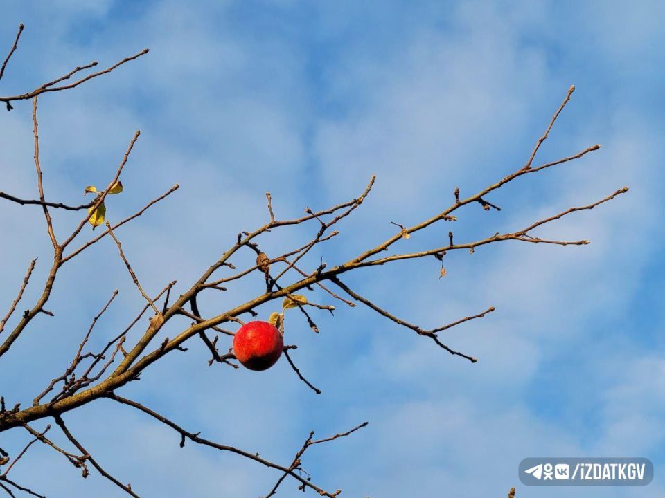 ������ ������ �� �������� � ���������