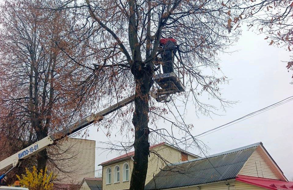 ����������� ���������� ������������ ������ ����� ������� � ������ ������� ������