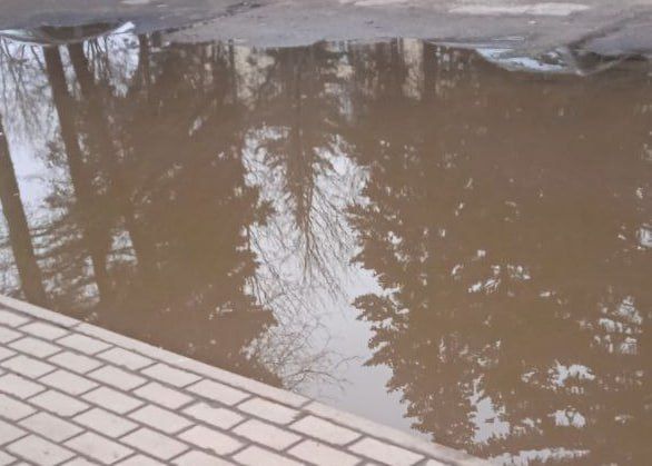 ��������� �������� �������� �� �������� ���� � ���������� ������