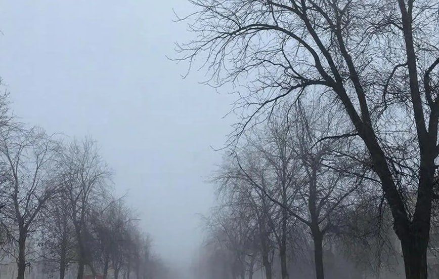 ����������� � ��������� ������� ����� ���������, �� ��� �������