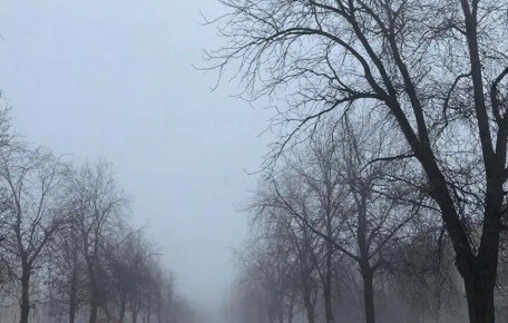 Понедельник в Калужской области будет пасмурным, но без осадков