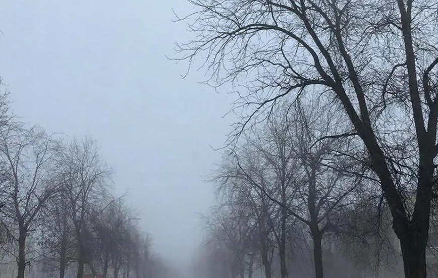 Понедельник в Калужской области будет пасмурным, но без осадков