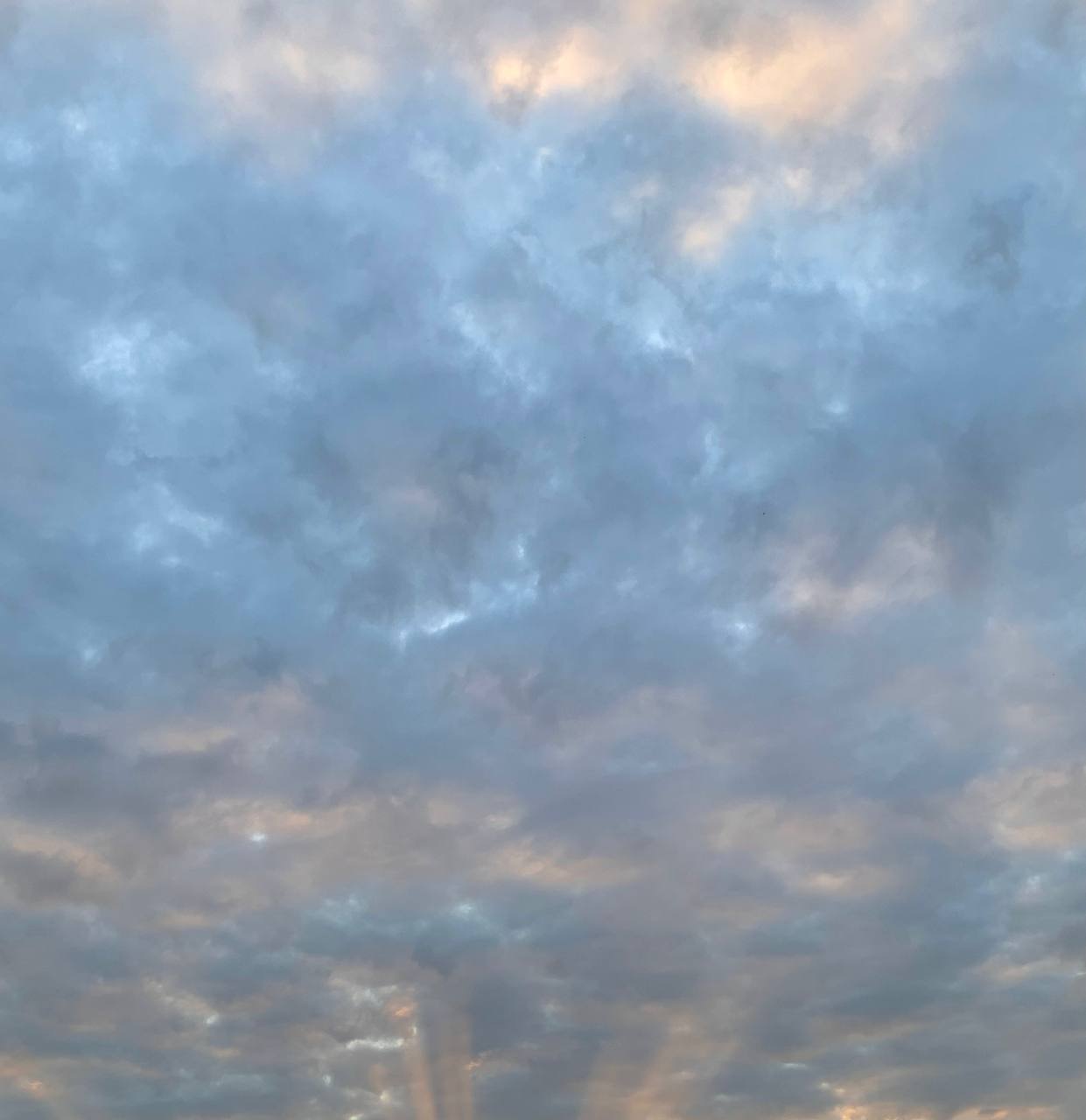 Вновь без снега. Сегодня в Калуге прогнозируют переменную облачность, без осадков