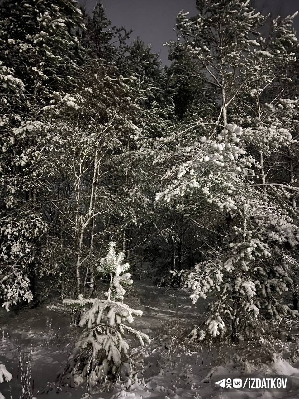 Снегопадище выпало сегодня в Куйбышевском районе Снегопадище выпало сегодня в Куйбышевском районе