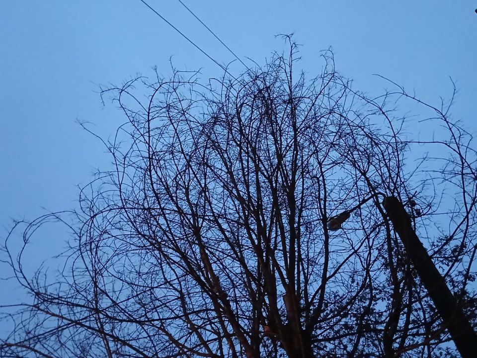 � ��������� ������� �������� ������ ����