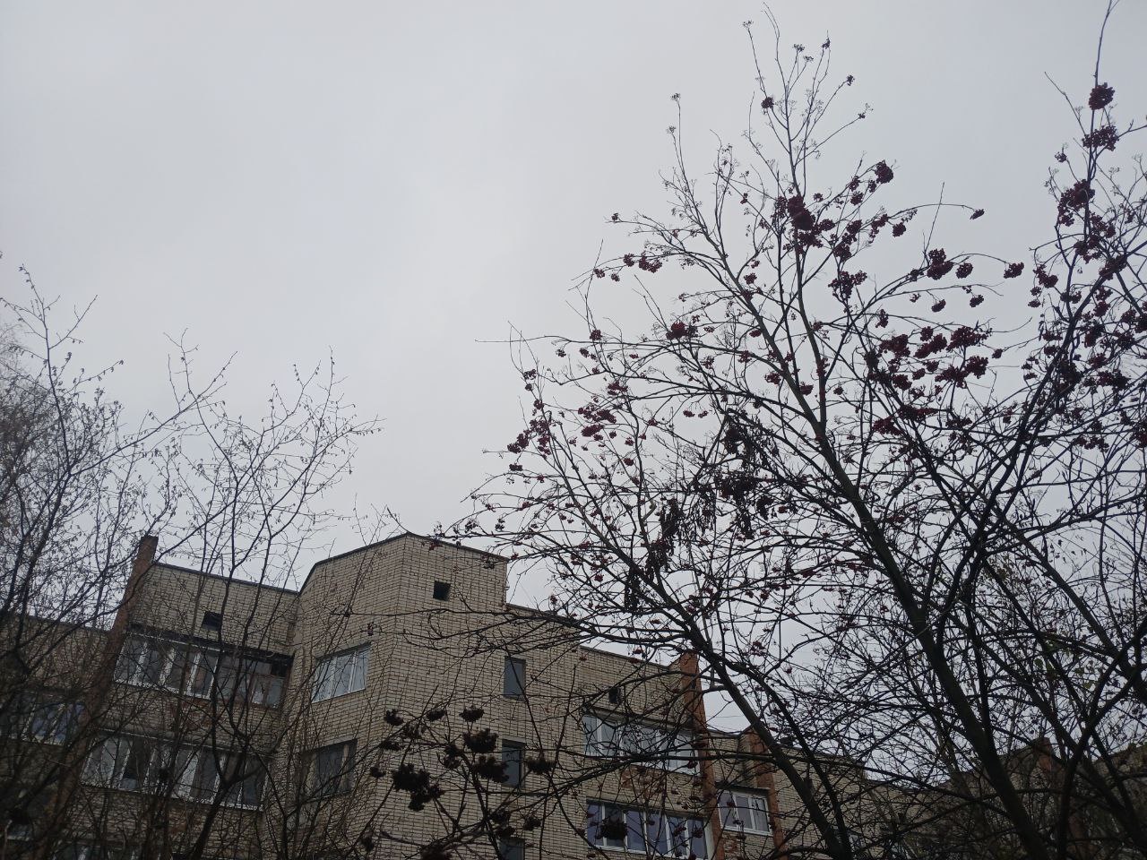 Калугу ждёт сильный снег и гололёд