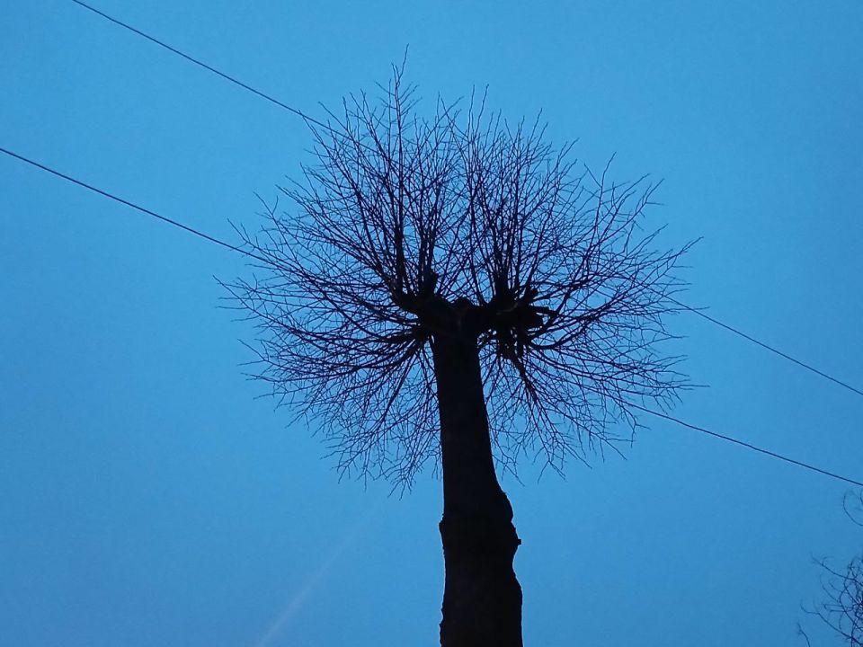 ���� ��� ������� �������� ������� ��� �������