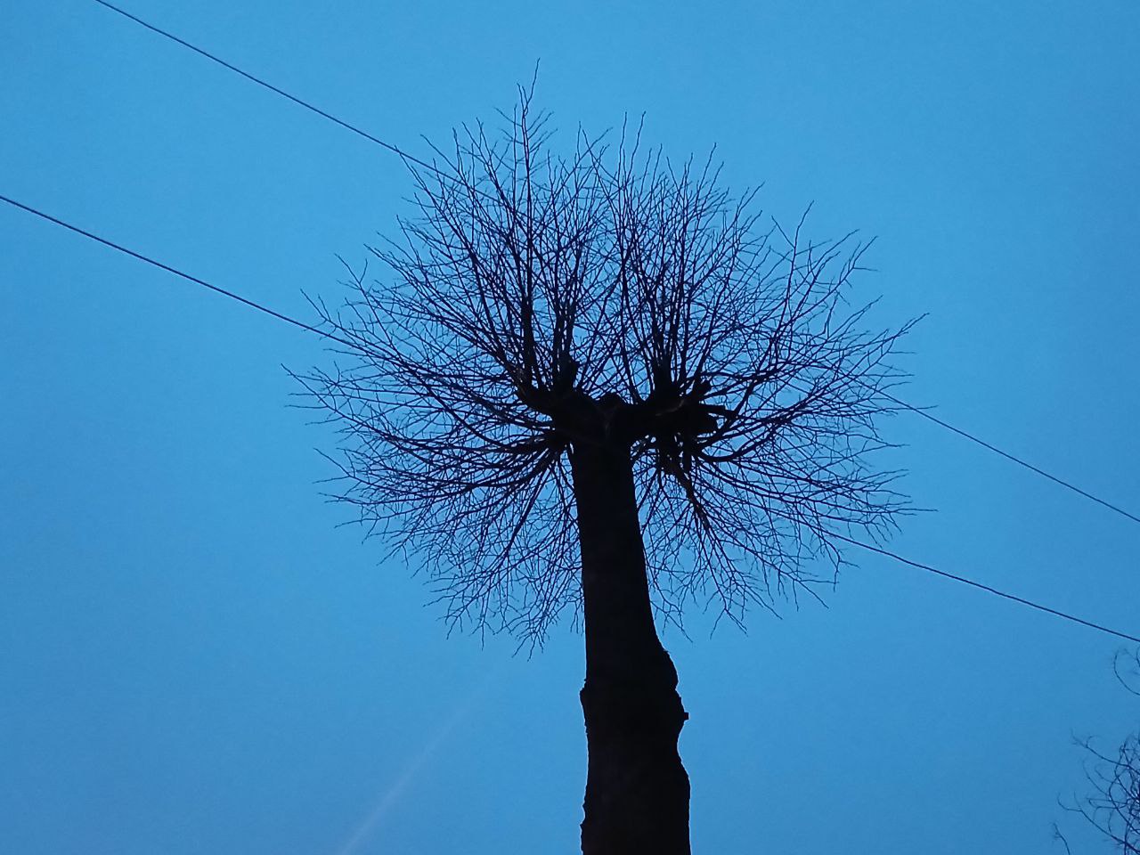 Небо над Калугой временно закрыли для авиации