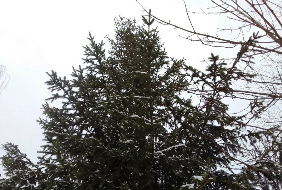 ��� ��������� ���������� ��������� ������ ��������� ����