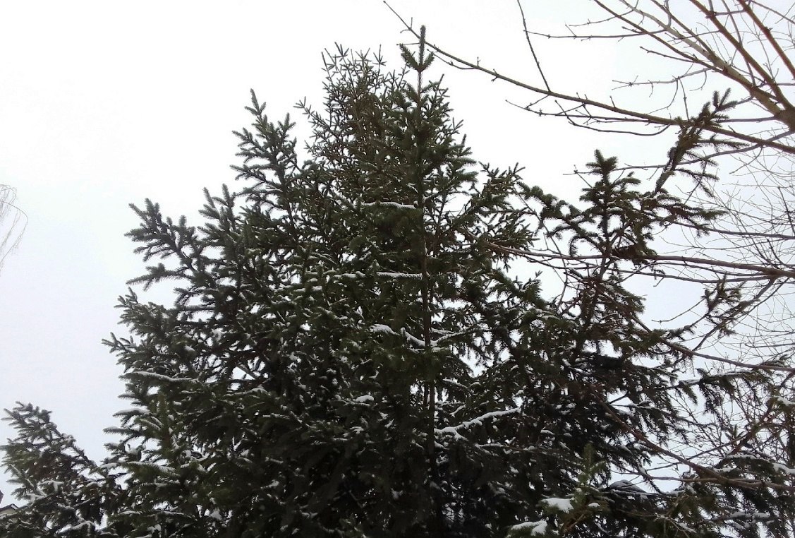 Над Обнинском уничтожили очередную группу вражеских БПЛА