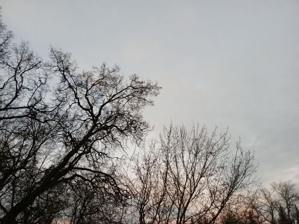 � ��������� ������� ����� 10 ������� ����� ��� ��� ������������