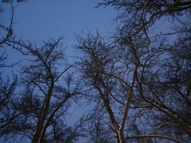 В Калужской области утром 10 декабря сбили ещё два дрона