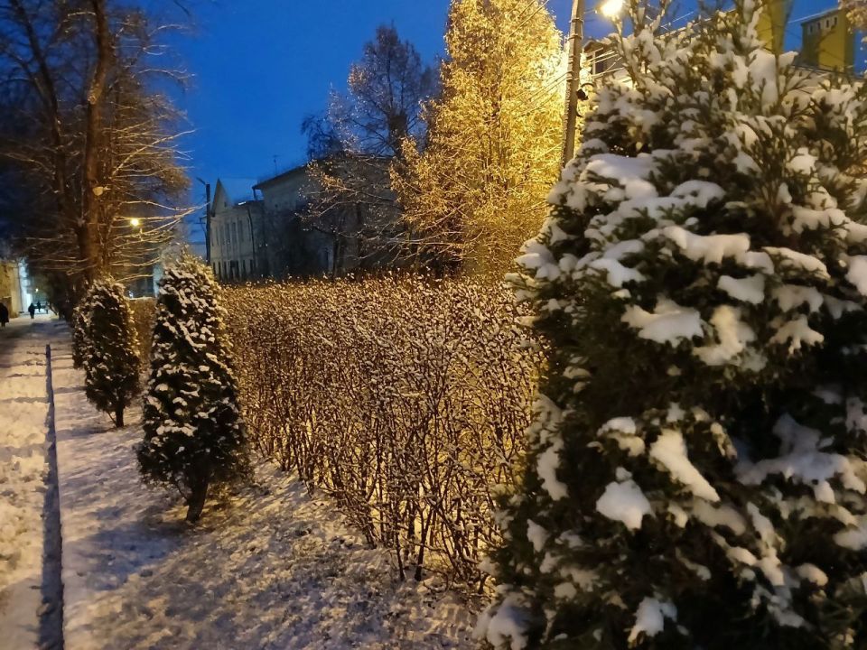 ������ ��� ������ ����������� �� ��������