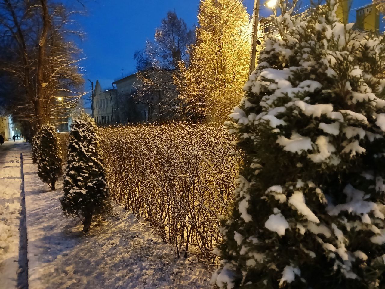 Калугу ждёт резкое похолодание на выходных