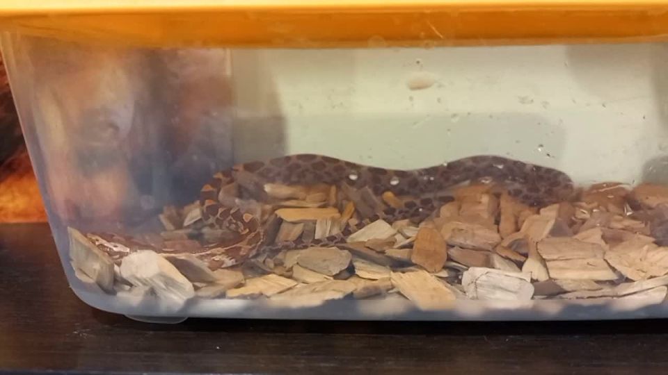 ���� ���������� � �������� ���������