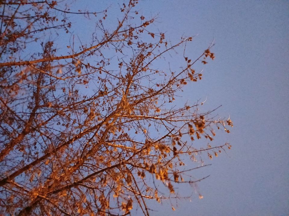 �� ���� � ��������� ������� ����� 40 ����