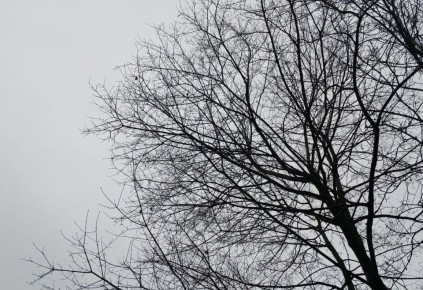 В Боровском районе упавший дрон повредил дома и автомобили