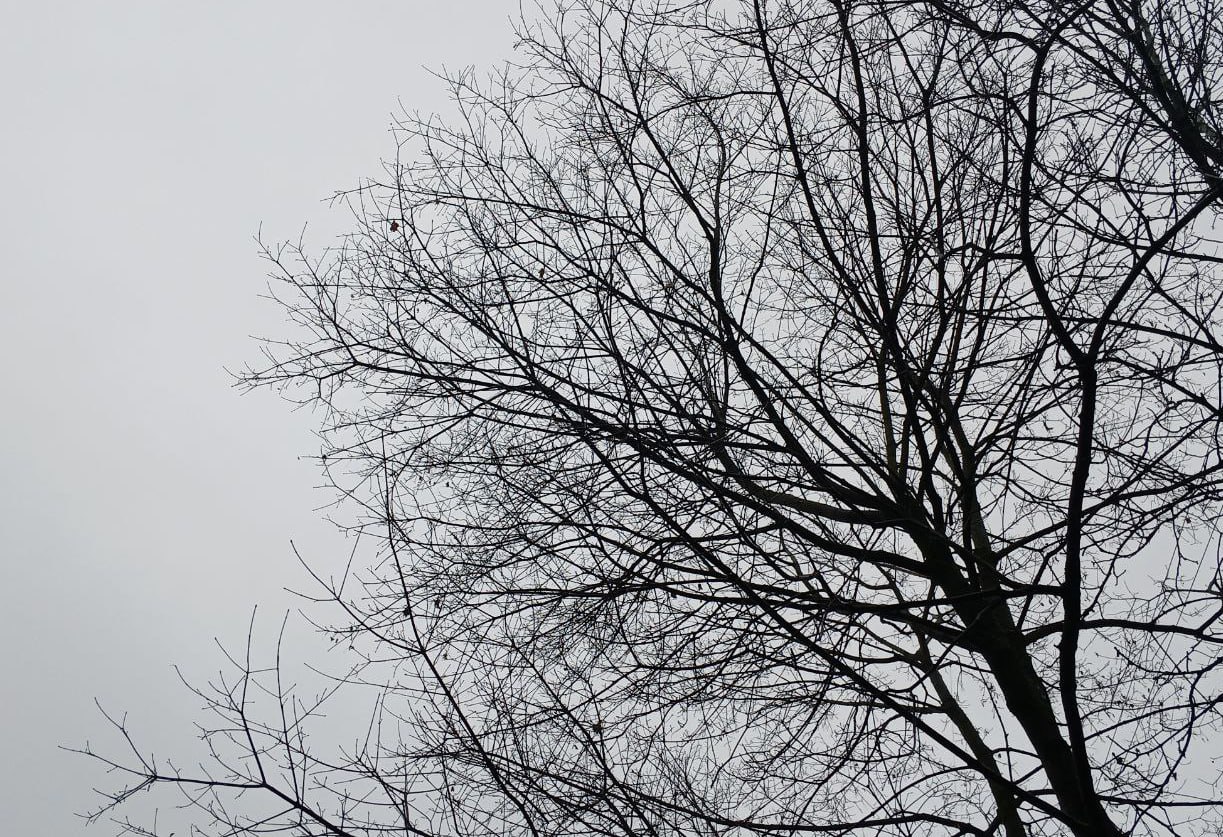 В Боровском районе упавший дрон повредил дома и автомобили