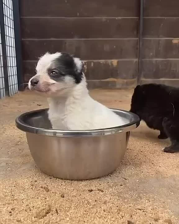 ����� �������: �������� ���������. ���� ��������� � ����� � ������� ���������� ��������, ������ ��� ��������