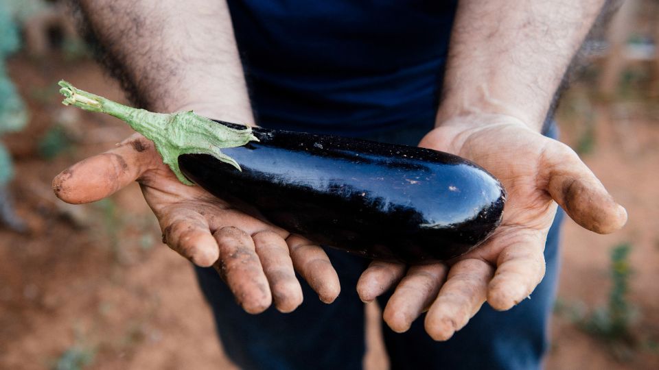 ������ ���������� ��������� ������� ������ ����������: �� ��������� � � ��������