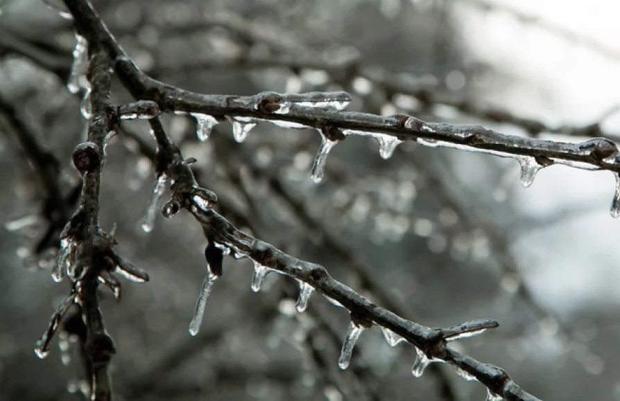 ������ ������� ����������: ����� ����������� � �����