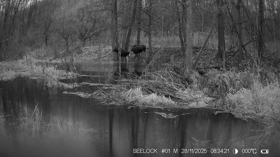 ����� ����� �� ����� � ��������� ����