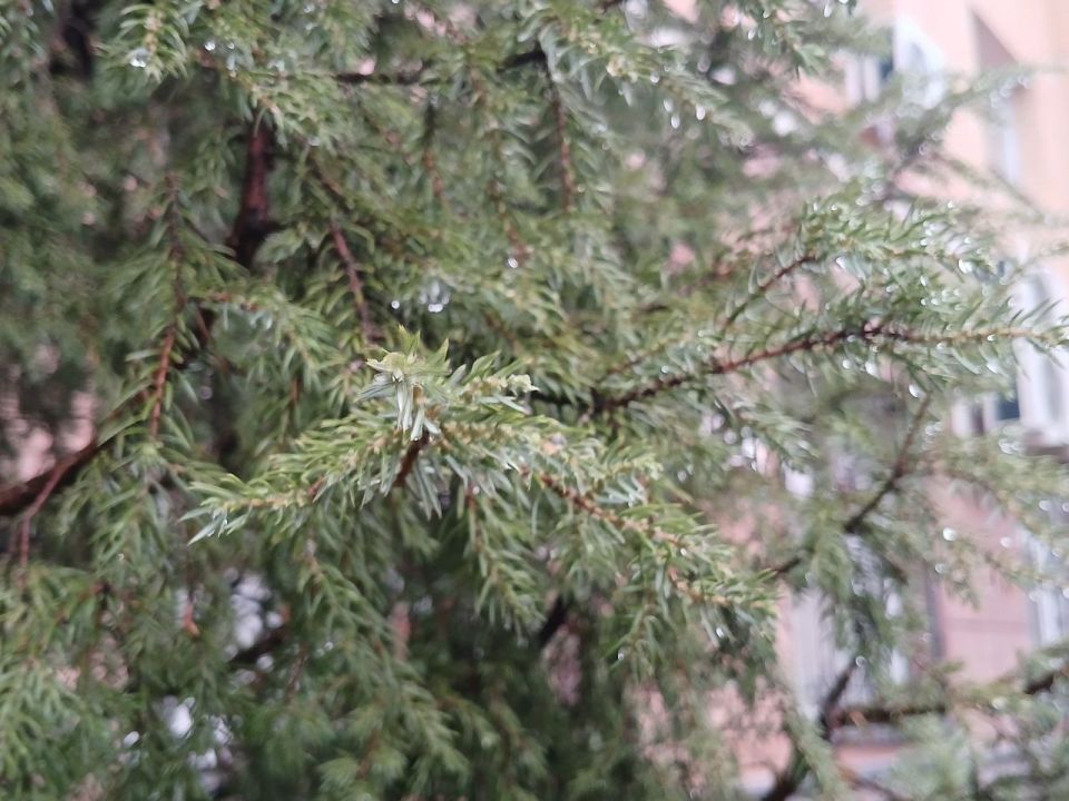 ������ ����� ������� ����� � ������ ������