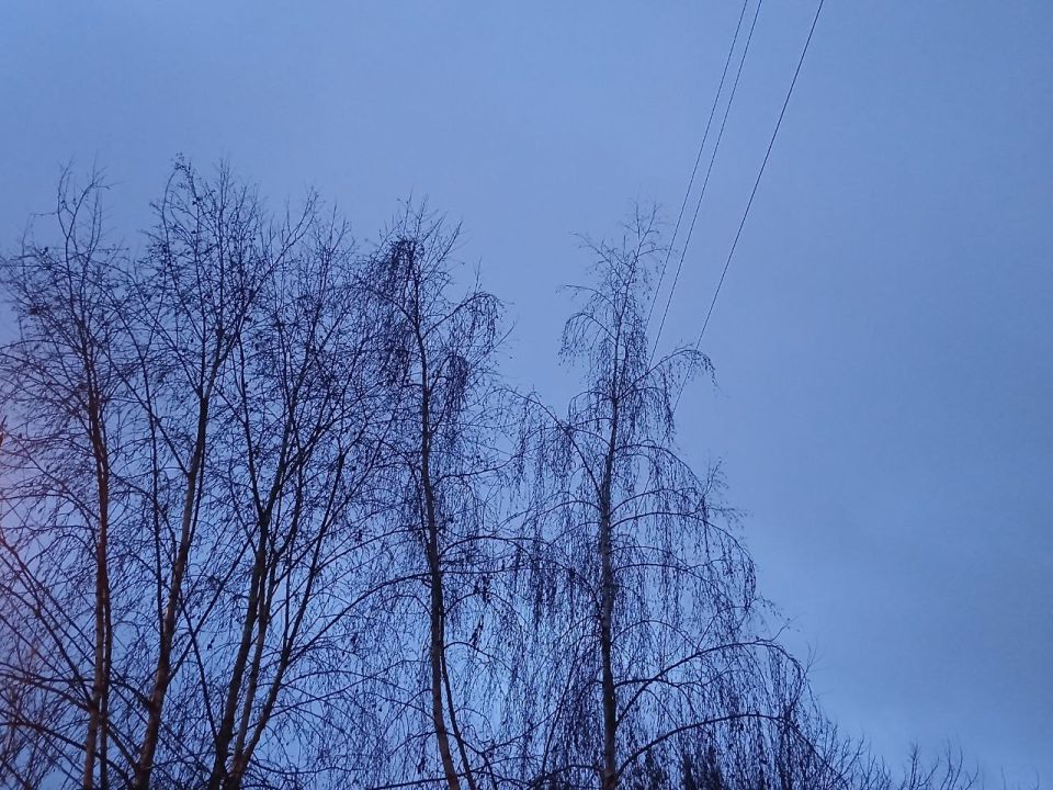 ��� ������� ����� ������� ��������� ������������ ��� ��������