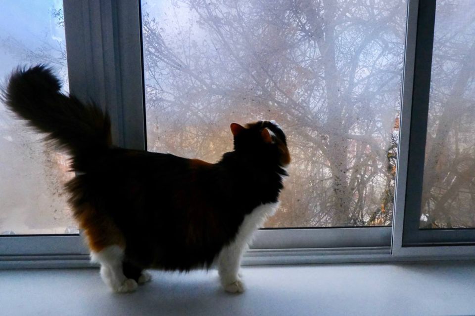 �� ����� ������ �������� ����������