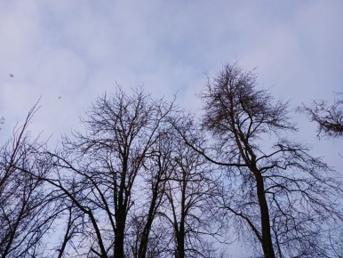 Три беспилотника сбили в калужском небе