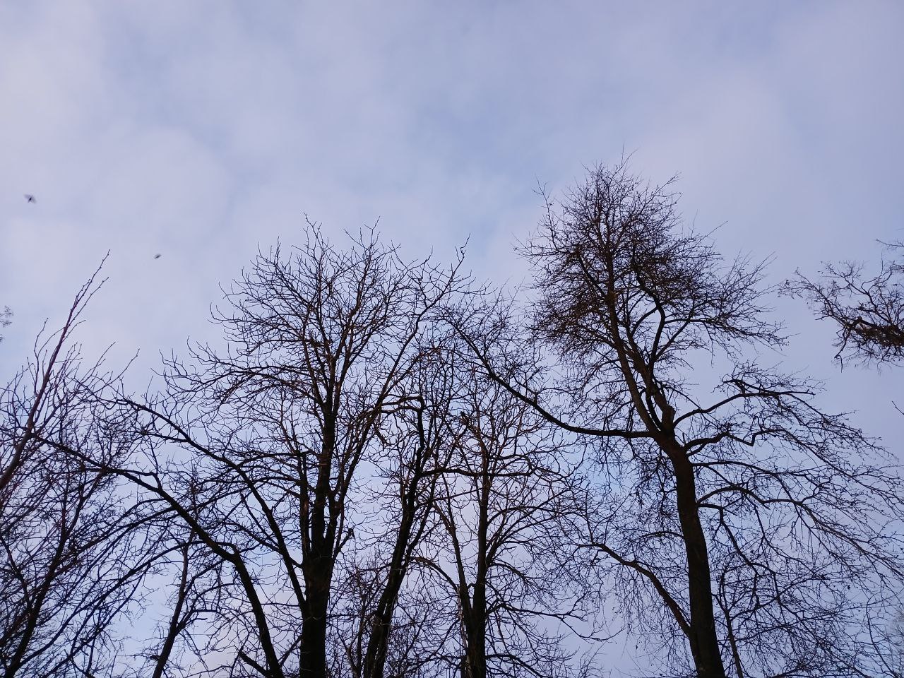 Три беспилотника сбили в калужском небе