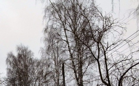 Над Калужской областью уничтожили три вражеских беспилотника