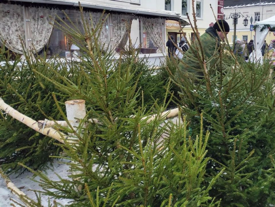 � ������ ��������� ������ ������� �������