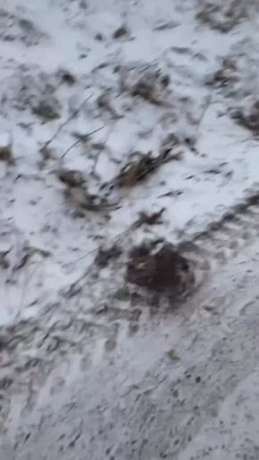 ������� � ����� ����:. ����� �������� ����� �� ������������ �� ��������� � ���� ������������ ����� �������, �������� ����� � �������� �����-���������