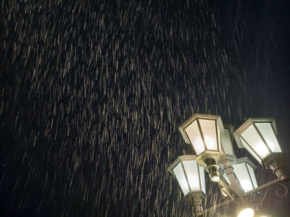 � ������ ����� ���������. ������, �������������� � ��������� ������� �� ��������� ��������, �������� ���������