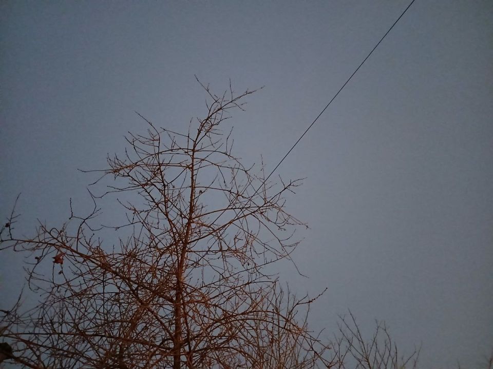 � ��������� ������� ����� ����� ������