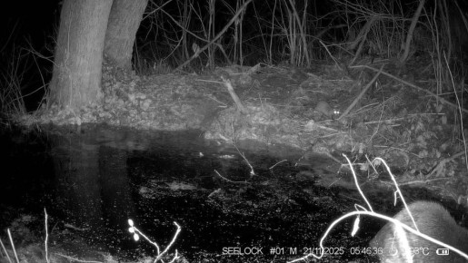 ������� ������ � ���������� �������� ����� ����� ����� � ���������� ������