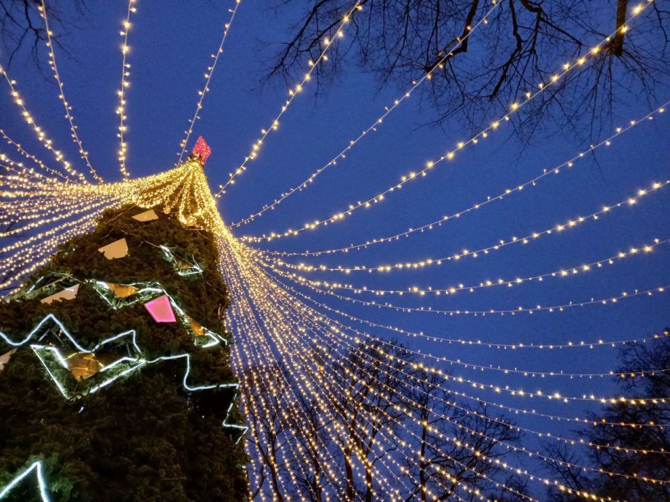 � ������ ����������� ��������� ���������� �����������