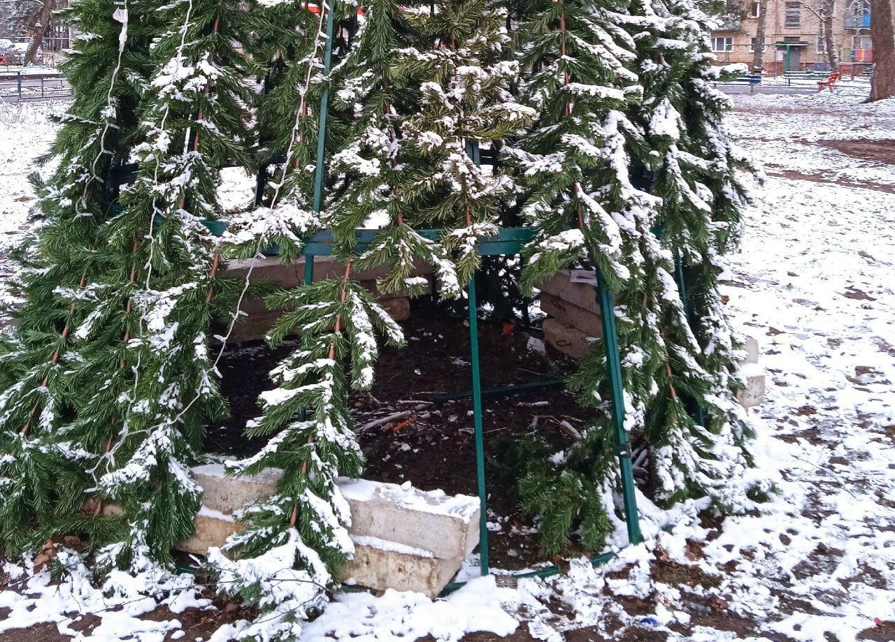 Жительница Калуги пожаловалась на опасную ёлку в своём посёлке