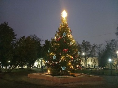 В центре Калуги украсили живую ёлку на фонтане в сквере Ленина
