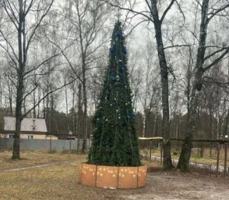 В посёлке Резвань установили ограждение у опасной новогодней ёлки