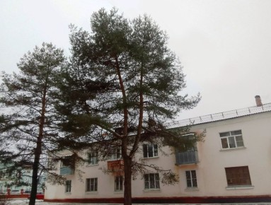 В Калужской области похолодает до минусовых температур