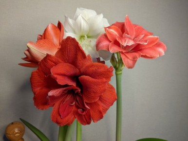 ������������� �������������: ��� �������� �������������� ��������?