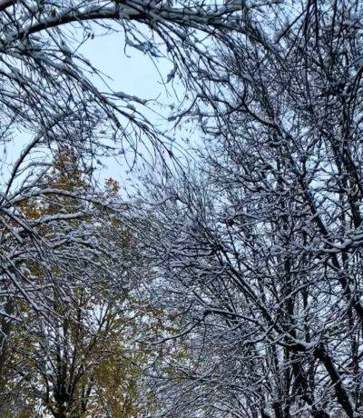 Снег с дождём обещают калужанам в ближайшие дни