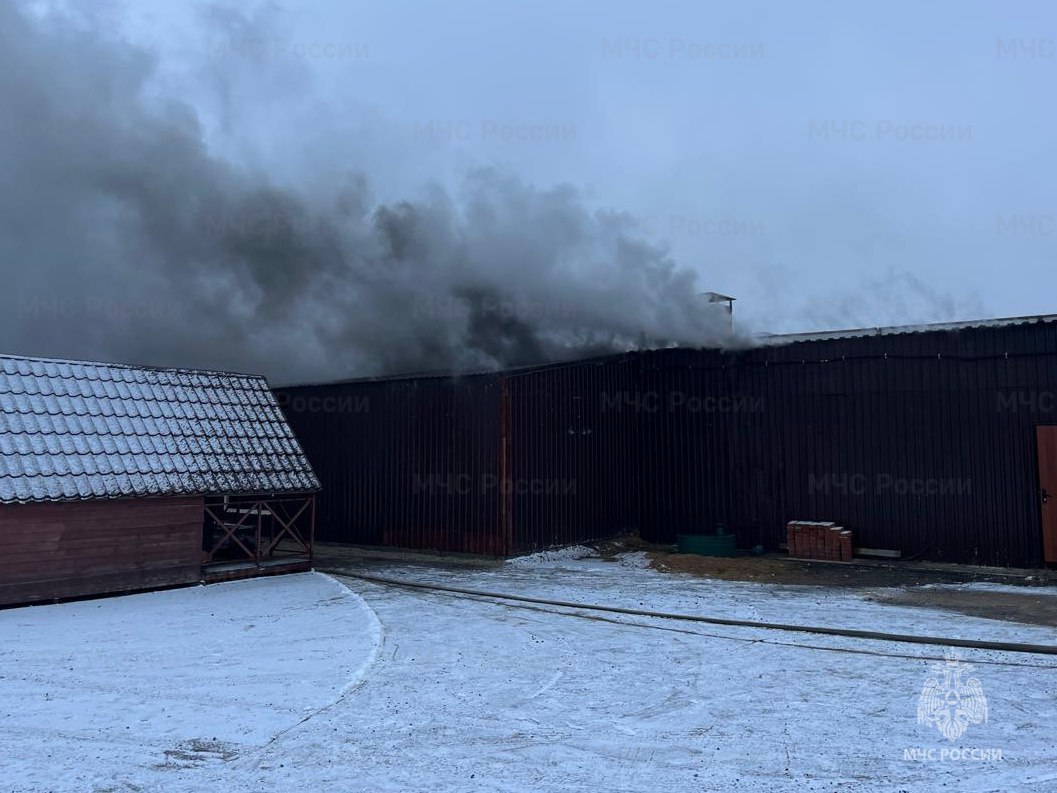 Пожар на складе в Боровском районе успешно ликвидирован Пожар на складе в Боровском районе успешно ликвидирован